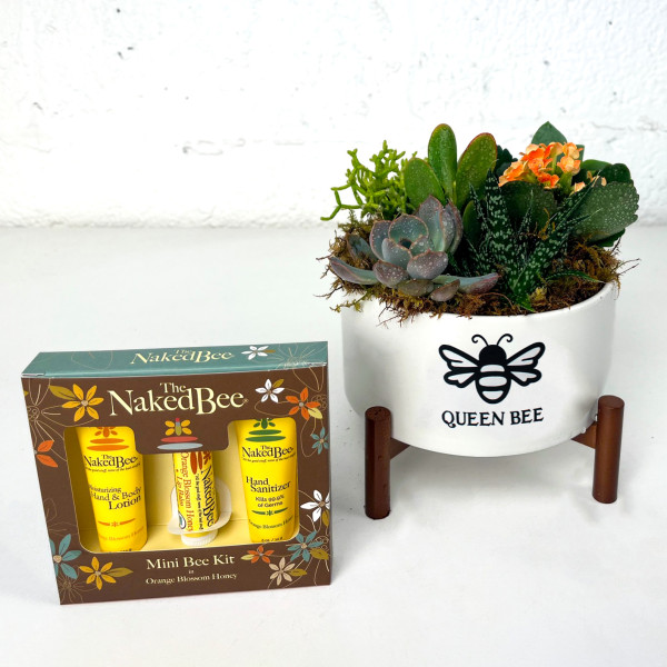 Queen Bee Succulent Planter with Mini Naked Bee Kit