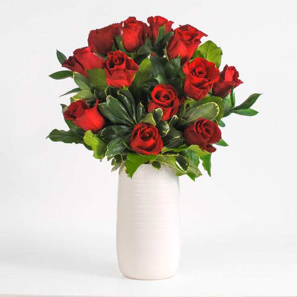 Red Rose Classic Dozen