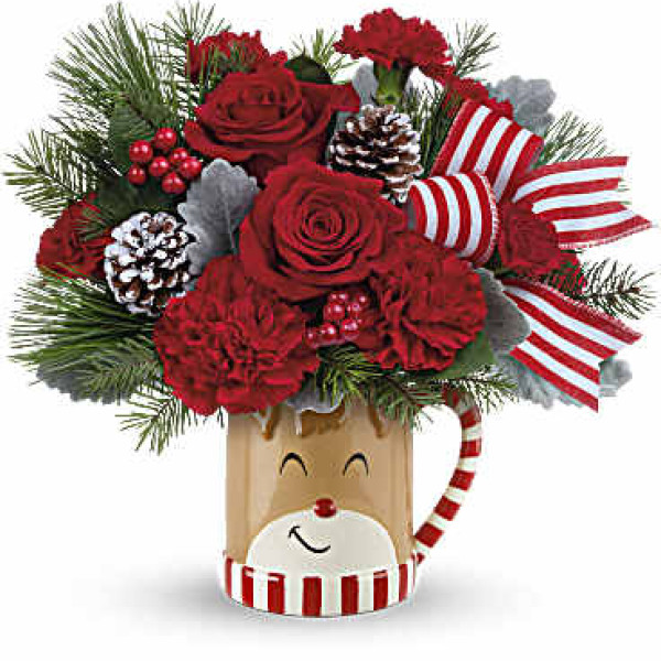 Teleflora Send A Hug Reindeer Wish