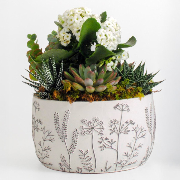 Verdant Charm Planter