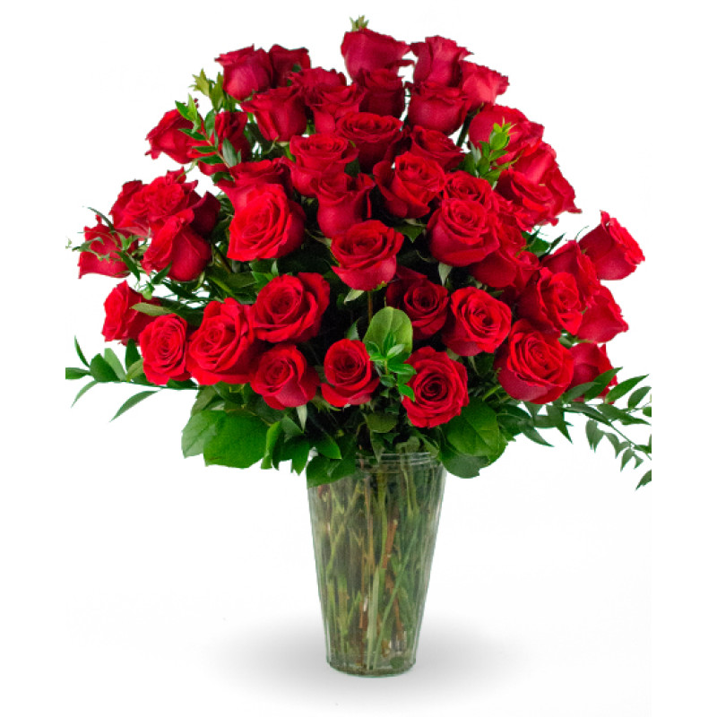 50 Rose Traditional Bouquet - Same Day Delivery