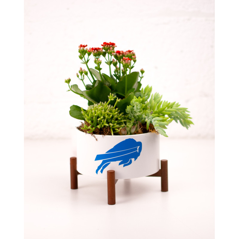 Buff Love Planter - Same Day Delivery