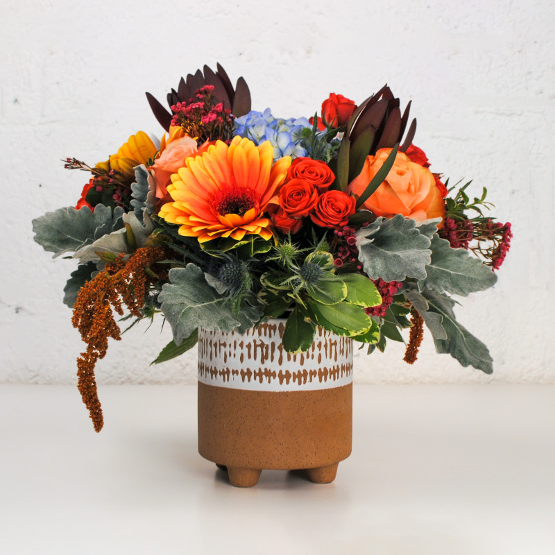 Desert Bloom Bouquet - Same Day Delivery