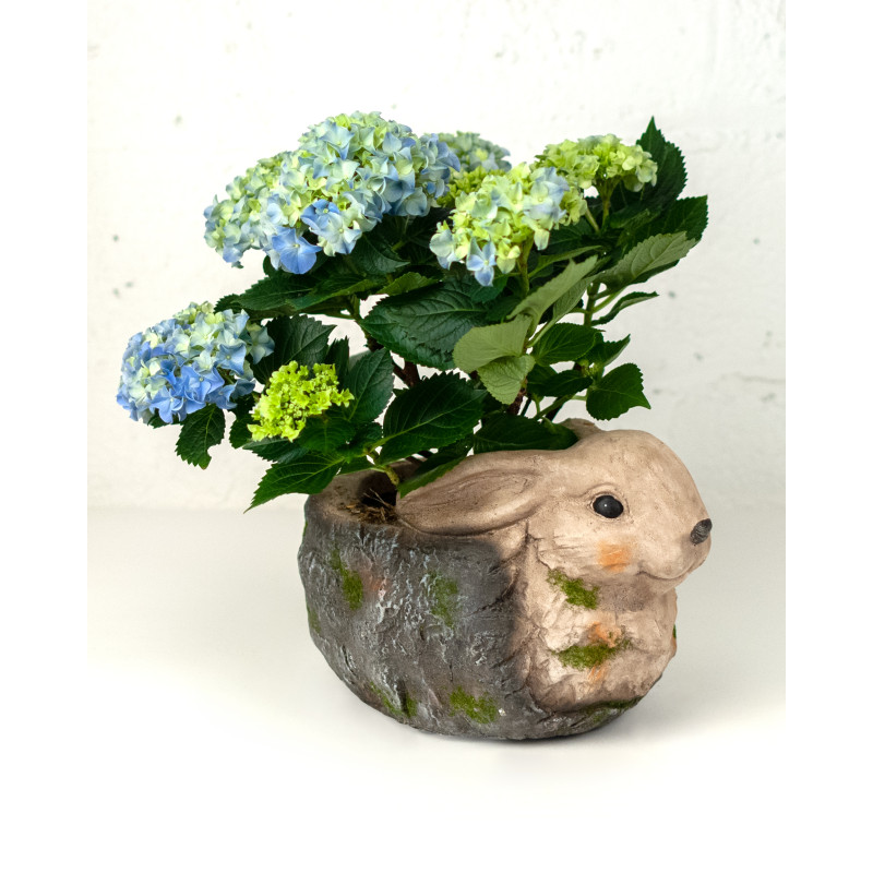 Blue Hydrangea Bunny Planter - Same Day Delivery