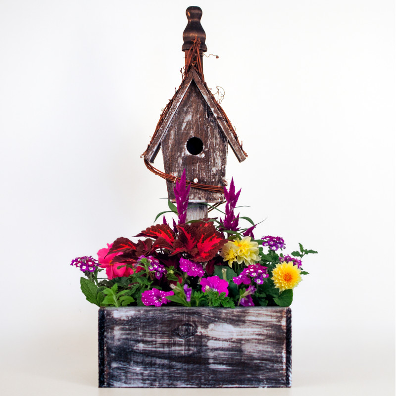 Rustic Birdhouse Porch Planter - Same Day Delivery