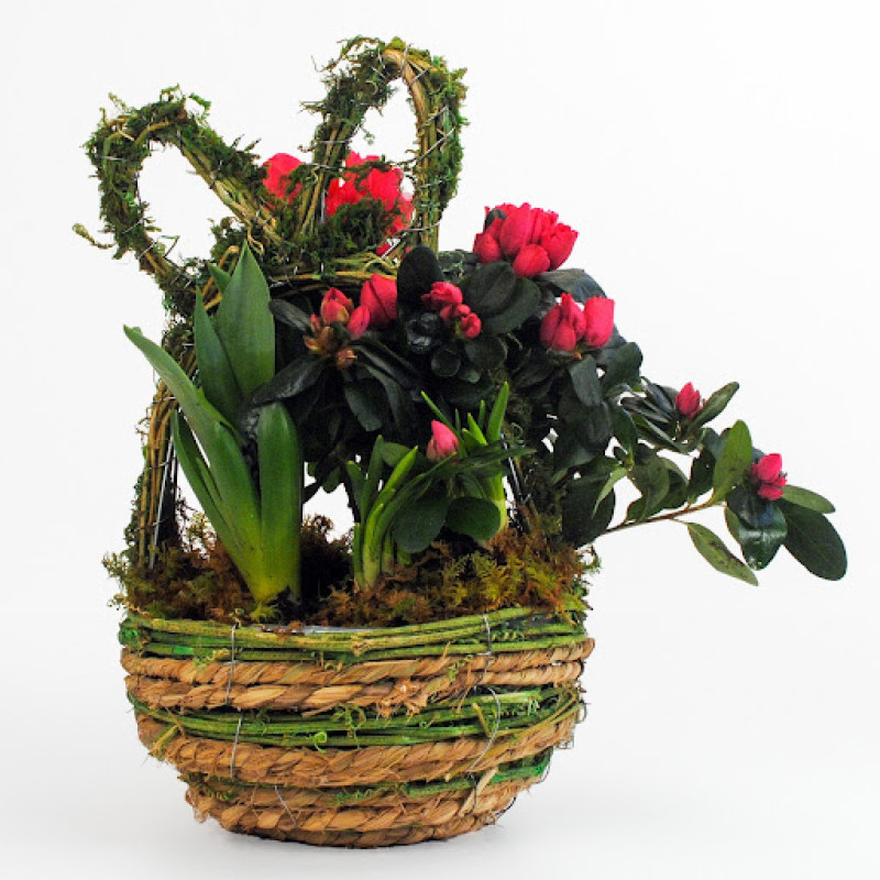 Bunny Bulb Garden - Same Day Delivery