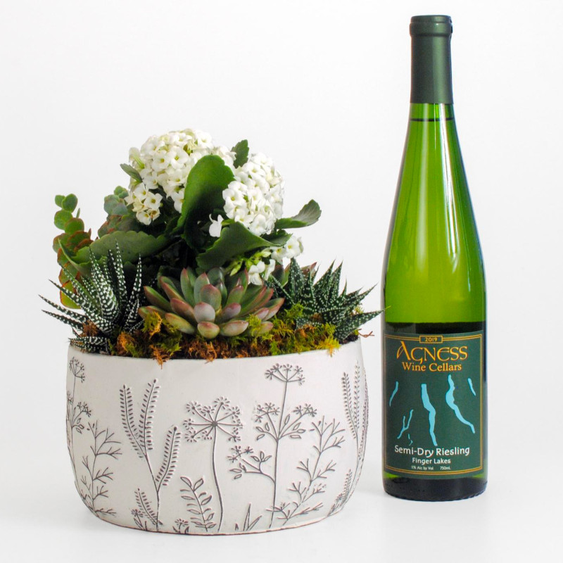 Verdant Vino Wine and Planter Bundle - Same Day Delivery