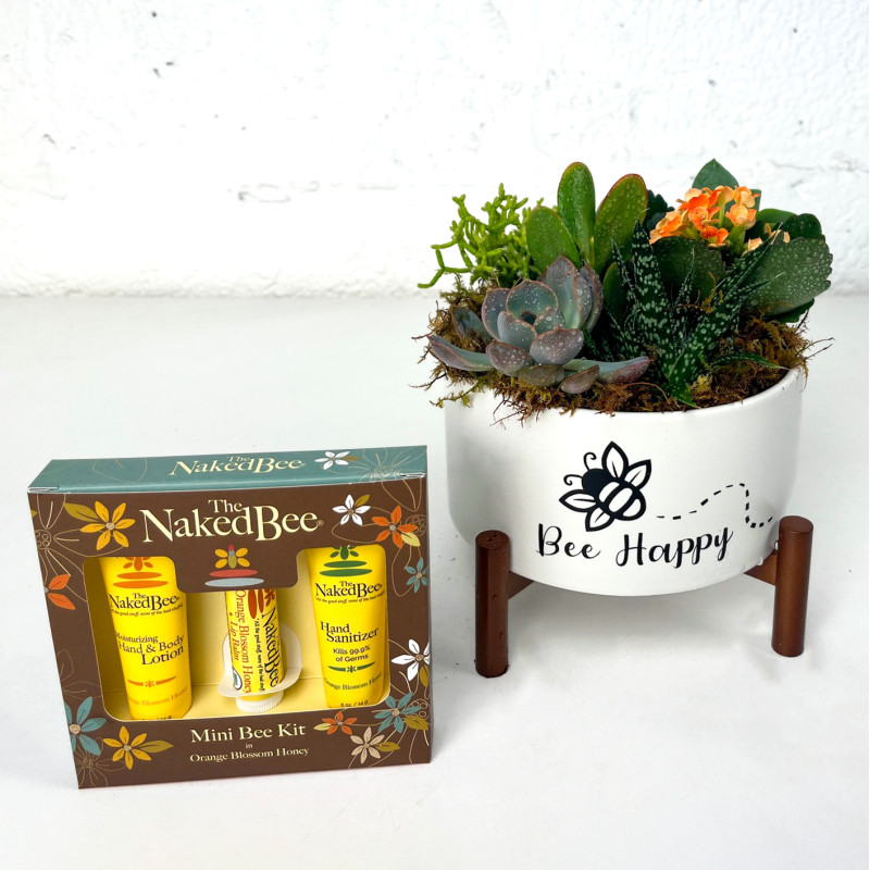Bee Happy Planter with Mini Naked Bee Kit - Same Day Delivery