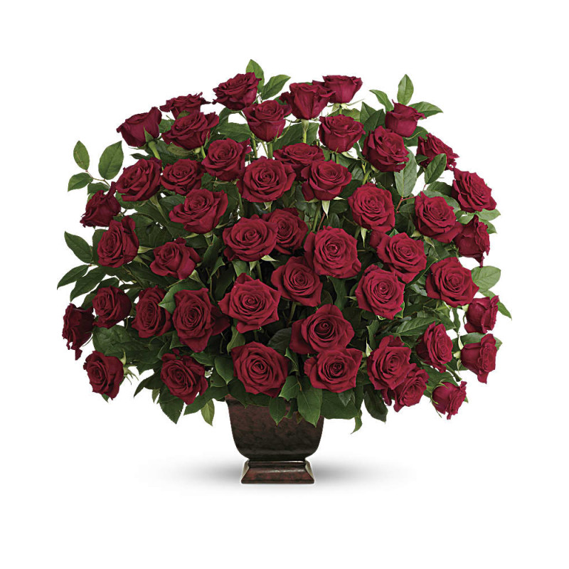 Rose Tribute - Same Day Delivery