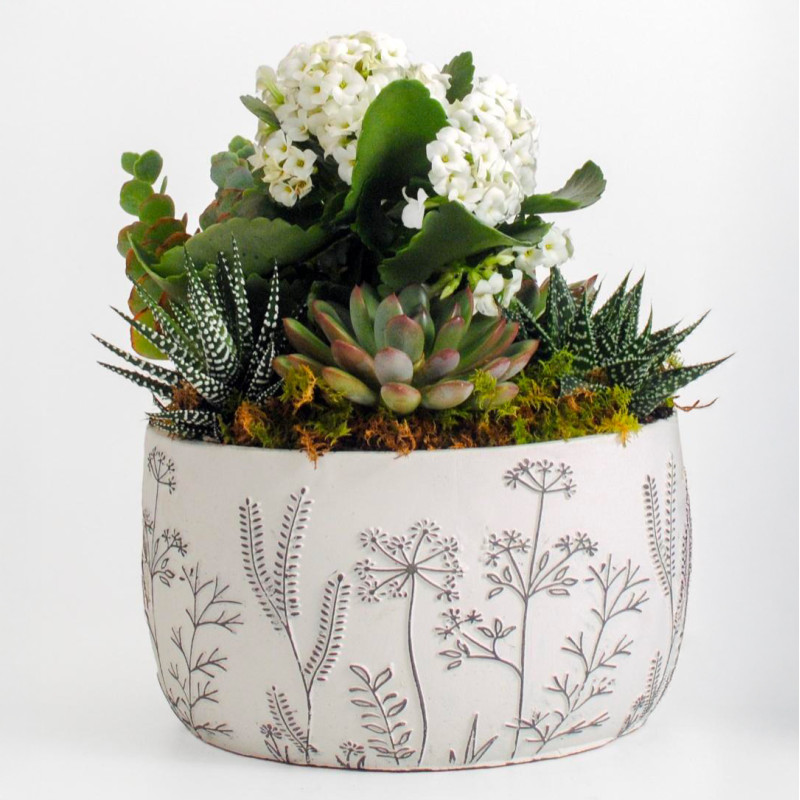 Verdant Charm Planter - Same Day Delivery