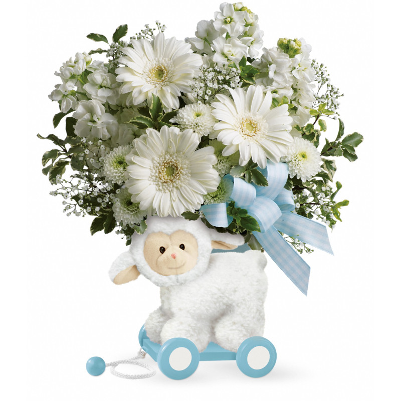 Sweet Little Lamb Blue - Same Day Delivery