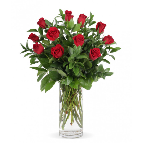 Dozen Premium Traditional Red Roses